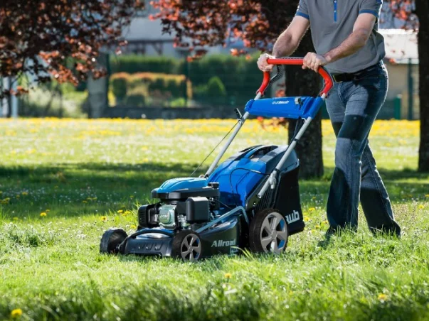 Un robot tondeuse gris et rouge sur une pelouse verte ensoleillée à Vierzon dans le Cher 18
